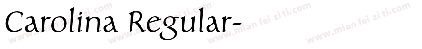 Carolina Regular字体转换